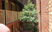 Court Yard